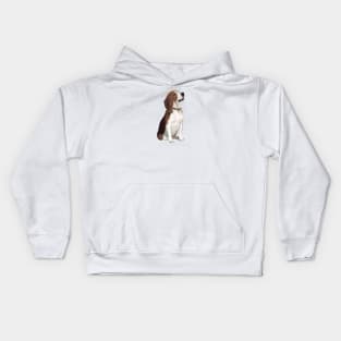 A Beagle (looking up) - Just the Dog Kids Hoodie